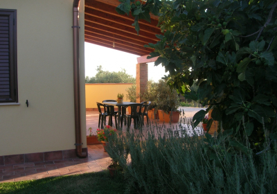 Casa Vacanze Appartamento Bilocale Le Antiche Macine Immerso Fra Ulivi